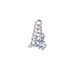 10525_6tml_O9_v1-1
Cryo-EM structure of Toxoplasma gondii mitochondrial ATP synthase hexamer, composite model