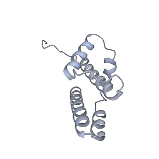 10525_6tml_P7_v1-1
Cryo-EM structure of Toxoplasma gondii mitochondrial ATP synthase hexamer, composite model