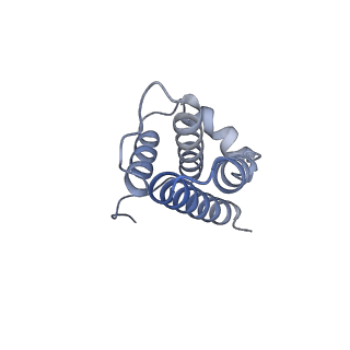 10525_6tml_P8_v1-1
Cryo-EM structure of Toxoplasma gondii mitochondrial ATP synthase hexamer, composite model