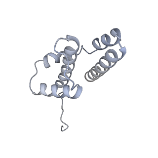 10525_6tml_P9_v1-1
Cryo-EM structure of Toxoplasma gondii mitochondrial ATP synthase hexamer, composite model