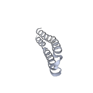 10525_6tml_Q1_v1-1
Cryo-EM structure of Toxoplasma gondii mitochondrial ATP synthase hexamer, composite model
