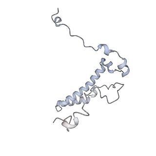 10525_6tml_Q7_v1-1
Cryo-EM structure of Toxoplasma gondii mitochondrial ATP synthase hexamer, composite model