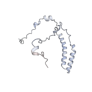 10525_6tml_Q8_v1-1
Cryo-EM structure of Toxoplasma gondii mitochondrial ATP synthase hexamer, composite model