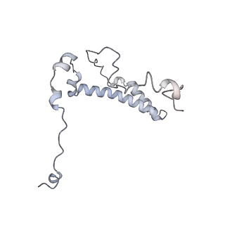 10525_6tml_Q9_v1-1
Cryo-EM structure of Toxoplasma gondii mitochondrial ATP synthase hexamer, composite model