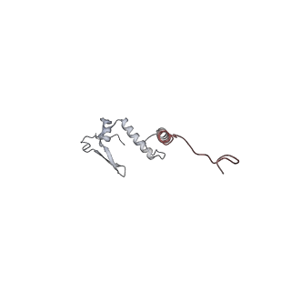 10525_6tml_R7_v1-1
Cryo-EM structure of Toxoplasma gondii mitochondrial ATP synthase hexamer, composite model