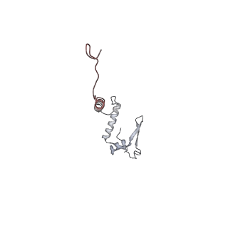 10525_6tml_R9_v1-1
Cryo-EM structure of Toxoplasma gondii mitochondrial ATP synthase hexamer, composite model