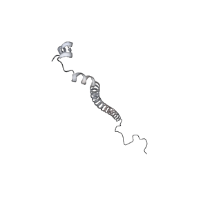 10525_6tml_S8_v1-1
Cryo-EM structure of Toxoplasma gondii mitochondrial ATP synthase hexamer, composite model