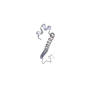 10525_6tml_S9_v1-1
Cryo-EM structure of Toxoplasma gondii mitochondrial ATP synthase hexamer, composite model