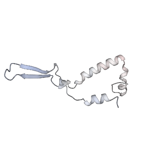 10525_6tml_T7_v1-1
Cryo-EM structure of Toxoplasma gondii mitochondrial ATP synthase hexamer, composite model