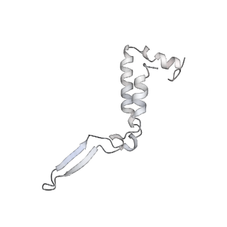 10525_6tml_T8_v1-1
Cryo-EM structure of Toxoplasma gondii mitochondrial ATP synthase hexamer, composite model