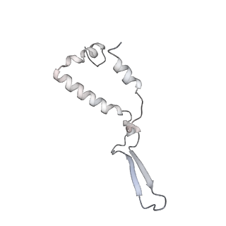 10525_6tml_T9_v1-1
Cryo-EM structure of Toxoplasma gondii mitochondrial ATP synthase hexamer, composite model