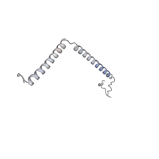 10525_6tml_U8_v1-1
Cryo-EM structure of Toxoplasma gondii mitochondrial ATP synthase hexamer, composite model
