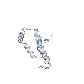 10525_6tml_V7_v1-1
Cryo-EM structure of Toxoplasma gondii mitochondrial ATP synthase hexamer, composite model