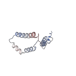 10525_6tml_V8_v1-1
Cryo-EM structure of Toxoplasma gondii mitochondrial ATP synthase hexamer, composite model