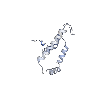 10525_6tml_V9_v1-1
Cryo-EM structure of Toxoplasma gondii mitochondrial ATP synthase hexamer, composite model