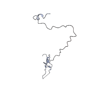 10525_6tml_W9_v1-1
Cryo-EM structure of Toxoplasma gondii mitochondrial ATP synthase hexamer, composite model