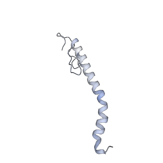 10525_6tml_X7_v1-1
Cryo-EM structure of Toxoplasma gondii mitochondrial ATP synthase hexamer, composite model