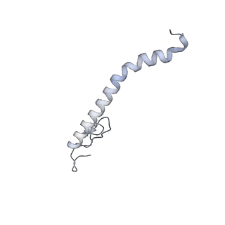 10525_6tml_X9_v1-1
Cryo-EM structure of Toxoplasma gondii mitochondrial ATP synthase hexamer, composite model