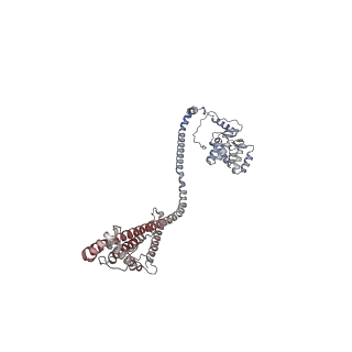 10525_6tml_b7_v1-1
Cryo-EM structure of Toxoplasma gondii mitochondrial ATP synthase hexamer, composite model