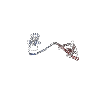 10525_6tml_b9_v1-1
Cryo-EM structure of Toxoplasma gondii mitochondrial ATP synthase hexamer, composite model
