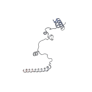 10525_6tml_c8_v1-1
Cryo-EM structure of Toxoplasma gondii mitochondrial ATP synthase hexamer, composite model