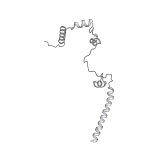 10525_6tml_c9_v1-1
Cryo-EM structure of Toxoplasma gondii mitochondrial ATP synthase hexamer, composite model