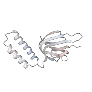 10525_6tml_d1_v1-1
Cryo-EM structure of Toxoplasma gondii mitochondrial ATP synthase hexamer, composite model