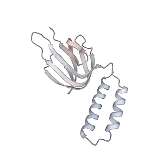 10525_6tml_d5_v1-1
Cryo-EM structure of Toxoplasma gondii mitochondrial ATP synthase hexamer, composite model