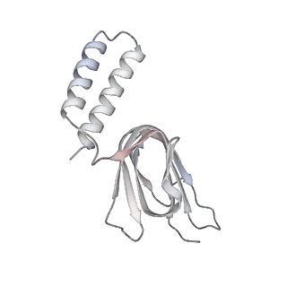 10525_6tml_d6_v1-1
Cryo-EM structure of Toxoplasma gondii mitochondrial ATP synthase hexamer, composite model
