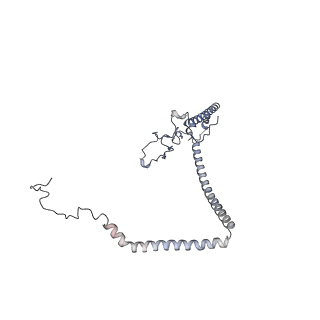 10525_6tml_d7_v1-1
Cryo-EM structure of Toxoplasma gondii mitochondrial ATP synthase hexamer, composite model