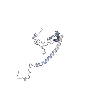10525_6tml_d8_v1-1
Cryo-EM structure of Toxoplasma gondii mitochondrial ATP synthase hexamer, composite model