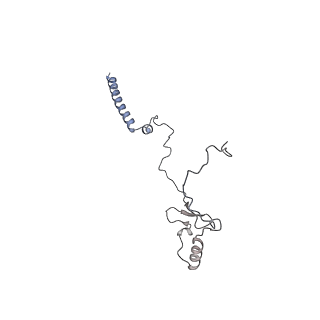 10525_6tml_e7_v1-1
Cryo-EM structure of Toxoplasma gondii mitochondrial ATP synthase hexamer, composite model