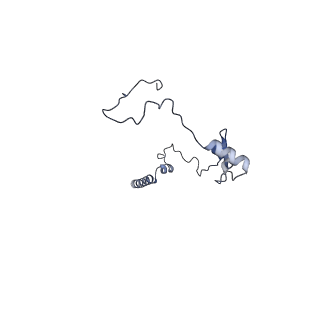 10525_6tml_e8_v1-1
Cryo-EM structure of Toxoplasma gondii mitochondrial ATP synthase hexamer, composite model