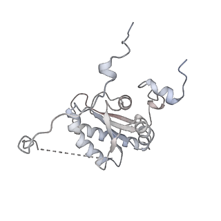 10525_6tml_f7_v1-1
Cryo-EM structure of Toxoplasma gondii mitochondrial ATP synthase hexamer, composite model