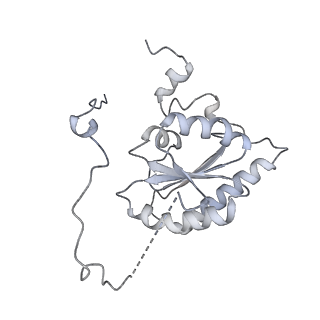 10525_6tml_f8_v1-1
Cryo-EM structure of Toxoplasma gondii mitochondrial ATP synthase hexamer, composite model