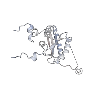 10525_6tml_f9_v1-1
Cryo-EM structure of Toxoplasma gondii mitochondrial ATP synthase hexamer, composite model