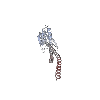 10525_6tml_g1_v1-1
Cryo-EM structure of Toxoplasma gondii mitochondrial ATP synthase hexamer, composite model