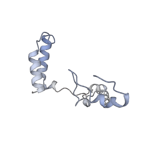 10525_6tml_g7_v1-1
Cryo-EM structure of Toxoplasma gondii mitochondrial ATP synthase hexamer, composite model