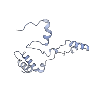 10525_6tml_g8_v1-1
Cryo-EM structure of Toxoplasma gondii mitochondrial ATP synthase hexamer, composite model