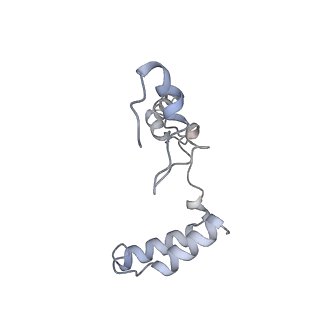10525_6tml_g9_v1-1
Cryo-EM structure of Toxoplasma gondii mitochondrial ATP synthase hexamer, composite model