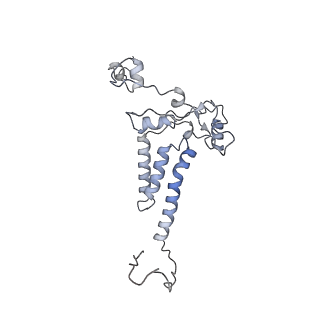 10525_6tml_h7_v1-1
Cryo-EM structure of Toxoplasma gondii mitochondrial ATP synthase hexamer, composite model