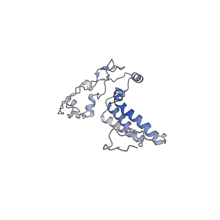 10525_6tml_h8_v1-1
Cryo-EM structure of Toxoplasma gondii mitochondrial ATP synthase hexamer, composite model