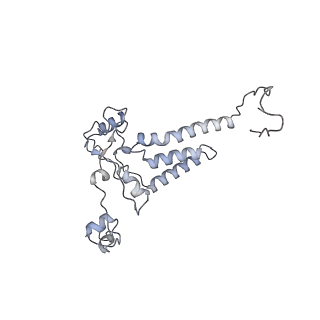 10525_6tml_h9_v1-1
Cryo-EM structure of Toxoplasma gondii mitochondrial ATP synthase hexamer, composite model