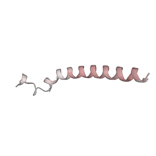 10525_6tml_i1_v1-1
Cryo-EM structure of Toxoplasma gondii mitochondrial ATP synthase hexamer, composite model