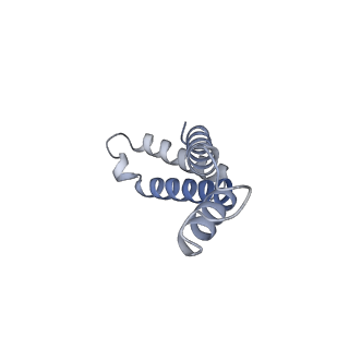 10525_6tml_i7_v1-1
Cryo-EM structure of Toxoplasma gondii mitochondrial ATP synthase hexamer, composite model