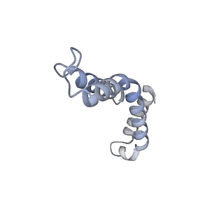 10525_6tml_i8_v1-1
Cryo-EM structure of Toxoplasma gondii mitochondrial ATP synthase hexamer, composite model