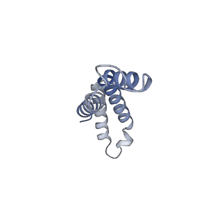 10525_6tml_i9_v1-1
Cryo-EM structure of Toxoplasma gondii mitochondrial ATP synthase hexamer, composite model