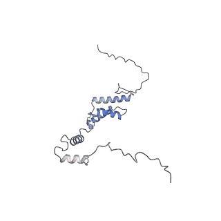 10525_6tml_j7_v1-1
Cryo-EM structure of Toxoplasma gondii mitochondrial ATP synthase hexamer, composite model