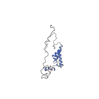 10525_6tml_j8_v1-1
Cryo-EM structure of Toxoplasma gondii mitochondrial ATP synthase hexamer, composite model