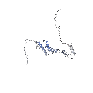 10525_6tml_j9_v1-1
Cryo-EM structure of Toxoplasma gondii mitochondrial ATP synthase hexamer, composite model
